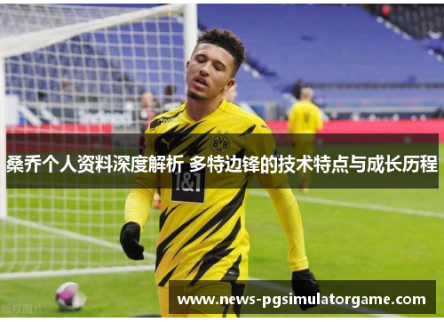 桑乔个人资料深度解析 多特边锋的技术特点与成长历程